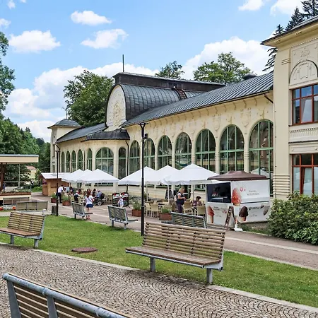 Apartman Stribrny Pramen-4 By Interhome Janské Lázně