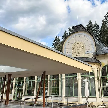 C- 4 By Interhome Apartment Janske Lazne